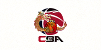 中国篮球协会CBA标志 - 龙形图案与篮球的组合标志